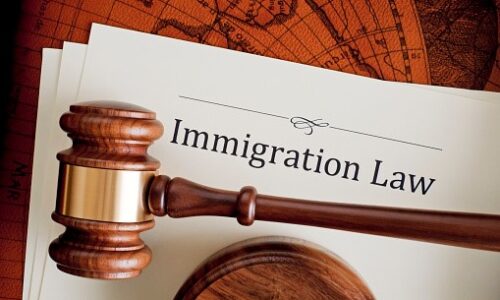 Immigration Law Specialist Certificate Programme