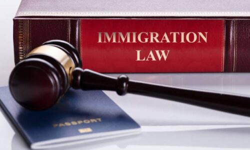 Immigration Law Advance Certificate Program