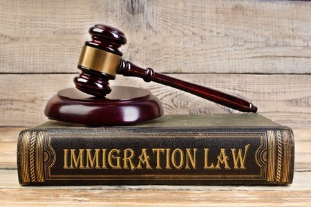 Introduction To U.S. Immigration Law