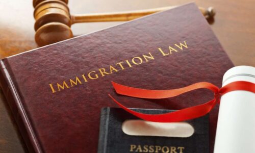 Immigration and Asylum Law